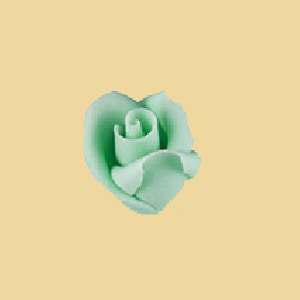 Marzipan Rose mint 25mm